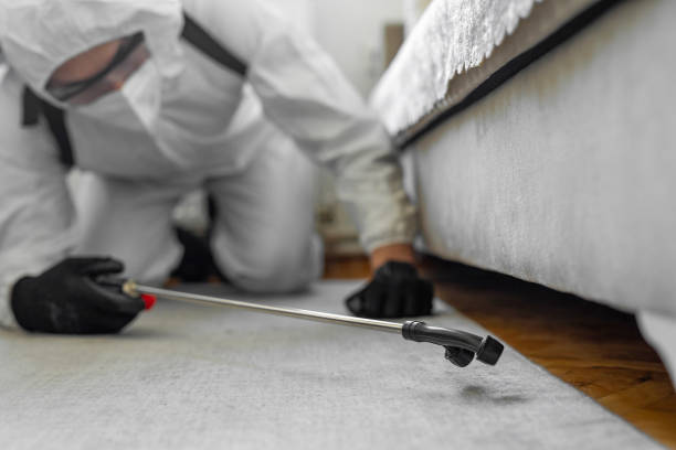 Professional Cockroach Control technician working in Winnfield, LA